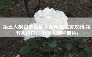第五人格白沙街疯人院电机位置攻略(第五人格白沙街疯人院宣传片)