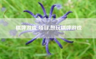 棋牌游戏 项目,想玩棋牌游戏