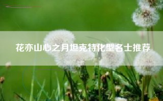 花亦山心之月坦克特化型名士推荐
