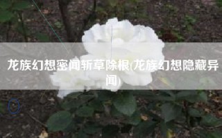 龙族幻想密闻斩草除根(龙族幻想隐藏异闻)