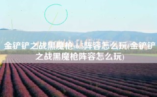 金铲铲之战黑魔枪s6.5阵容怎么玩(金铲铲之战黑魔枪阵容怎么玩)
