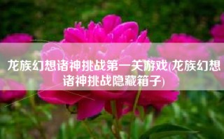 龙族幻想诸神挑战第一关游戏(龙族幻想诸神挑战隐藏箱子)
