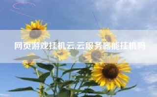 网页游戏挂机云,云服务器能挂机吗