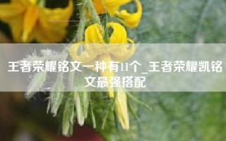 王者荣耀铭文一种有11个_王者荣耀凯铭文最强搭配
