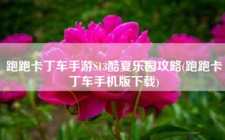 跑跑卡丁车手游S13酷夏乐园攻略(跑跑卡丁车手机版下载)