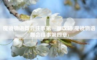 魔镜物语舞会往事第一章攻略(魔镜物语舞会往事第四章)