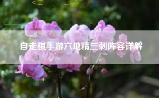 自走棋手游六地精三刺阵容详解