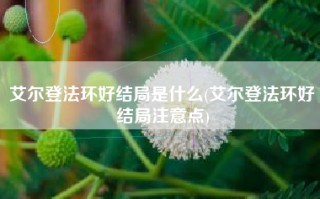 艾尔登法环好结局是什么(艾尔登法环好结局注意点)