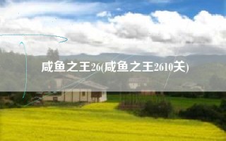 咸鱼之王26(咸鱼之王2610关)