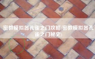 密教模拟器孔雀之门攻略(密教模拟器孔雀之门秘史)