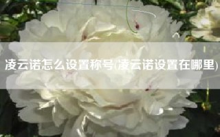 凌云诺怎么设置称号(凌云诺设置在哪里)