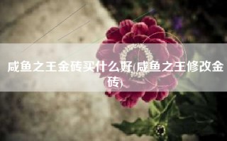 咸鱼之王金砖买什么好(咸鱼之王修改金砖)