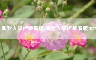 叫我大掌柜破解版(叫我大掌柜破解版2022)