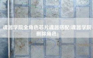 魂器学院全角色芯片魂器搭配(魂器学院删除角色)