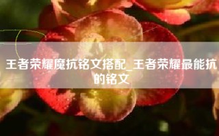 王者荣耀魔抗铭文搭配_王者荣耀最能抗的铭文