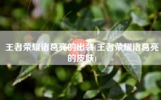 王者荣耀诸葛亮的出装(王者荣耀诸葛亮的皮肤)