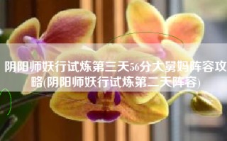 阴阳师妖行试炼第三天56分大舅妈阵容攻略(阴阳师妖行试炼第二天阵容)