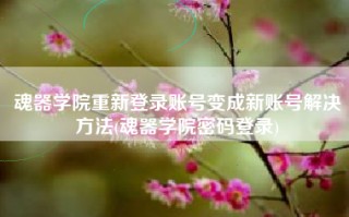 魂器学院重新登录账号变成新账号解决方法(魂器学院密码登录)