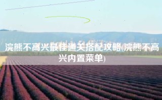 浣熊不高兴最佳通关搭配攻略(浣熊不高兴内置菜单)