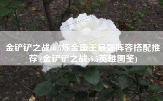 金铲铲之战s6.5炼金蛮王最强阵容搭配推荐 (金铲铲之战s6.5英雄图鉴)