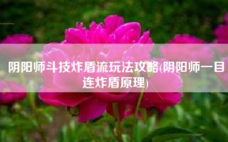 阴阳师斗技炸盾流玩法攻略(阴阳师一目连炸盾原理)
