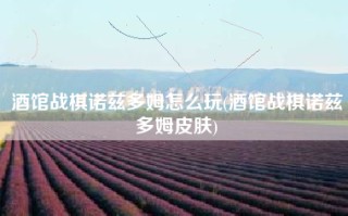 酒馆战棋诺兹多姆怎么玩(酒馆战棋诺兹多姆皮肤)