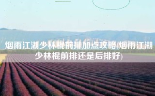 烟雨江湖少林棍前排加点攻略(烟雨江湖少林棍前排还是后排好)