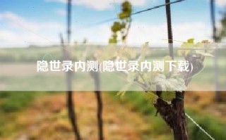 隐世录内测(隐世录内测下载)