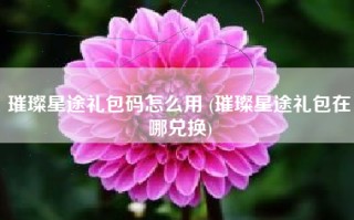 璀璨星途礼包码怎么用 (璀璨星途礼包在哪兑换)