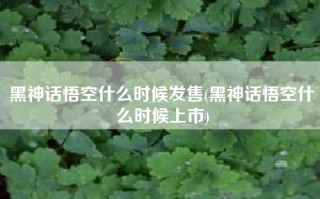 黑神话悟空什么时候发售(黑神话悟空什么时候上市)