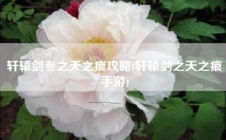 轩辕剑叁之天之痕攻略(轩辕剑之天之痕手游)