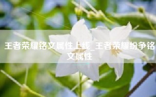 王者荣耀铭文属性上线_王者荣耀纷争铭文属性