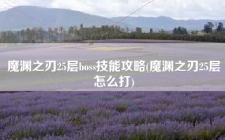魔渊之刃25层boss技能攻略(魔渊之刃25层怎么打)