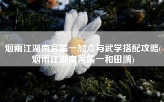 烟雨江湖南宫靖一加点与武学搭配攻略(烟雨江湖南宫靖一和田鹏)