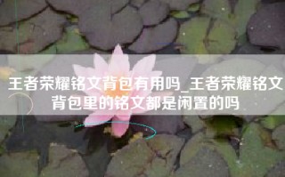 王者荣耀铭文背包有用吗_王者荣耀铭文背包里的铭文都是闲置的吗