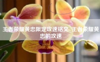 王者荣耀黄忠限定攻速铭文_王者荣耀黄忠的攻速
