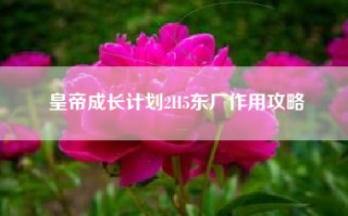 皇帝成长计划2H5东厂作用攻略