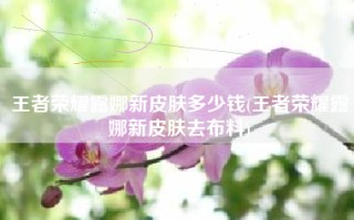 王者荣耀露娜新皮肤多少钱(王者荣耀露娜新皮肤去布料)