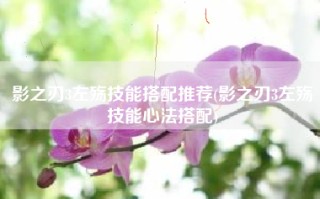 影之刃3左殇技能搭配推荐(影之刃3左殇技能心法搭配)