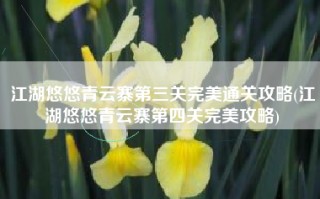 江湖悠悠青云寨第三关完美通关攻略(江湖悠悠青云寨第四关完美攻略)