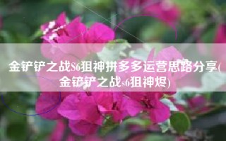 金铲铲之战S6狙神拼多多运营思路分享(金铲铲之战s6狙神烬)