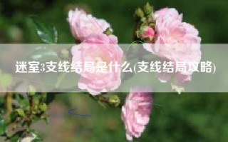 迷室3支线结局是什么(支线结局攻略)
