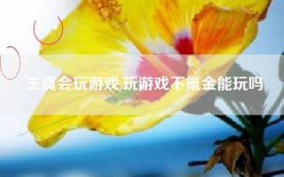 王真会玩游戏,玩游戏不氪金能玩吗