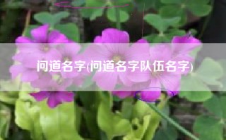 问道名字(问道名字队伍名字)