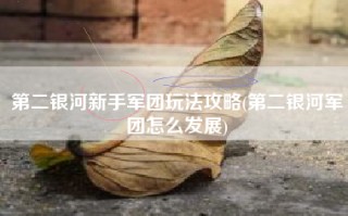 第二银河新手军团玩法攻略(第二银河军团怎么发展)