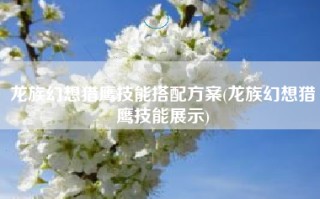 龙族幻想猎鹰技能搭配方案(龙族幻想猎鹰技能展示)
