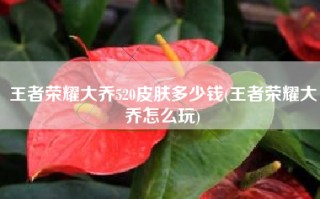 王者荣耀大乔520皮肤多少钱(王者荣耀大乔怎么玩)