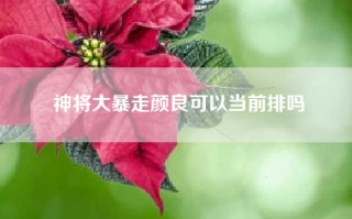 神将大暴走颜良可以当前排吗