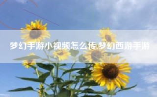 梦幻手游小视频怎么传,梦幻西游手游