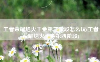 王者荣耀炮火千金第三阶段怎么玩(王者荣耀炮火千金第四阶段)